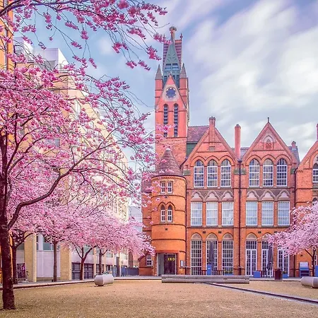 Luxury - Selly Oak - Parking - Rated - Netflix - Wifi Birmingham